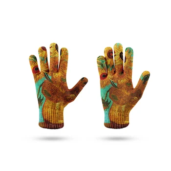 Pictură în ulei Tipărite de Primăvară pentru Bărbați Mănuși cu un deget Celebru Irisi Retro Amuzant Lucru Mănuși de Grădină Ecran Tactil Unisex Mănuși Tricotate
