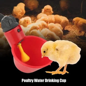 5PC Pui Bolul cu Apa de Păsări de Apă Potabilă Cesti de carne de Pui de Găină de Plastic Automată Bautor Automat de Udare Păsări de curte