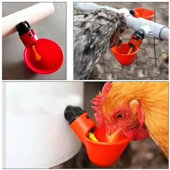 5PC Pui Bolul cu Apa de Păsări de Apă Potabilă Cesti de carne de Pui de Găină de Plastic Automată Bautor Automat de Udare Păsări de curte