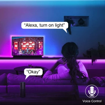 Wifi inteligent LED RGB Lumina de Culoare Benzi Panglică 12V 220V Decorative DIY de Fundal Bandă Funcționează cu Alexa de Start Google Voice Control