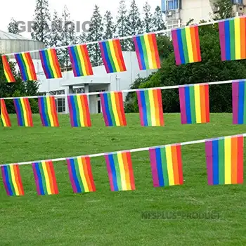 Agățat Steagul LGBT Lesbiene, Gay, Bisexuale, Tansgender Asa 15BUC 14x21cm Poliester 5M Decorative Rainbow Steaguri și Bannere