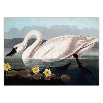 Audubon Vintage Bird Poster Imprimare Canvas Wall Art Poza American Heron Swan Roseate Lopătarul Scarlet Lbis Albastru Macara Decor