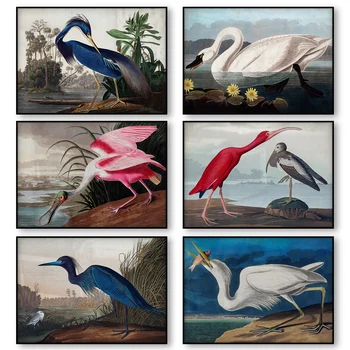 Audubon Vintage Bird Poster Imprimare Canvas Wall Art Poza American Heron Swan Roseate Lopătarul Scarlet Lbis Albastru Macara Decor