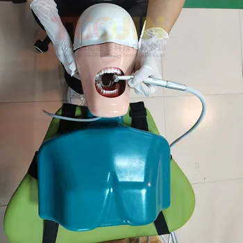 Model De Cap Dentare Simulator Dinte Model Poate Fi Instalat Pe Un Spătar De Scaun Stomatologic Dentist Pentru Predare