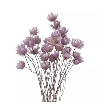 30pcs Decorative Flori Uscate Mini Daisy Stea Mică Buchet de Flori Naturale, Plante păstra Florale pentru Nunta Decor Acasă
