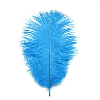 50Pcs/Lot Lacul Albastru Pene de Strut pentru a Face Bijuterii de 15-70cm Pene Albe, Pene de Strut Acasă Decorare Accesorii plumas