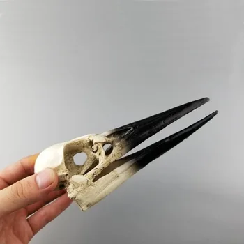 MRZOOT Rășină Schelet de Dinozaur Model Craniu de Pasăre de Cercetare pe Animale de Predare Personalizate, Decoratiuni Acasă