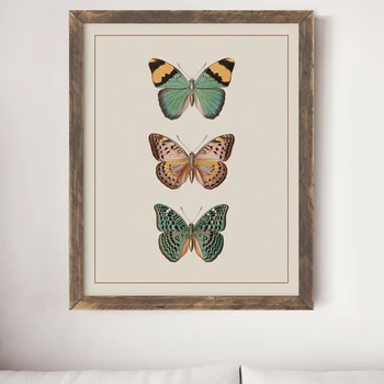 Bej, Sepia Moderne Victorian Butterfly Vintage Printuri De Insecte Educație Arta De Perete Panza Pictura Imagine Camera Copii Acasă De