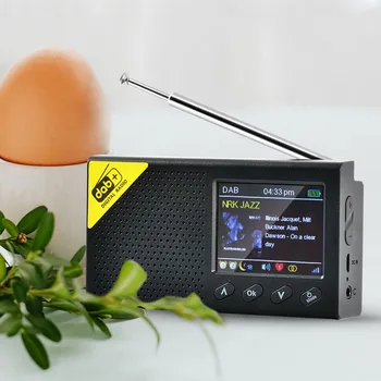DAB+ Radio FM, DAB Portabil Radio Reîncărcabilă Radio Digital cu Incarcare USB (Negru)