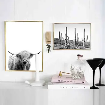 Highland Bovine Poster De Arta De Perete Animale Panza Alb-Negru Cactus Postere Si Printuri Pictura Vaca Imagine Pentru Camera De Zi