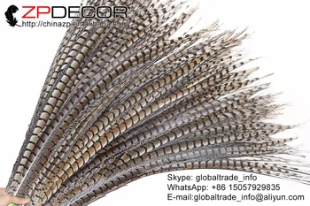 Fabrica ZPDECOR 28-32inch(70-80cm) 50pieces/lot Artizanale Naturale Lady Amherst Coada Pene de Fazan