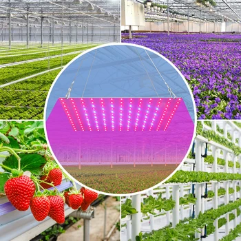 20W 40W Creștere de Lumină LED-uri Full Spectrum Crească Cort Lămpi Pentru Plante Hidroponice Lampa UE NE-a UNIT Plug Fito Cultivare Flori Lumini