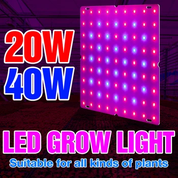 20W 40W Creștere de Lumină LED-uri Full Spectrum Crească Cort Lămpi Pentru Plante Hidroponice Lampa UE NE-a UNIT Plug Fito Cultivare Flori Lumini