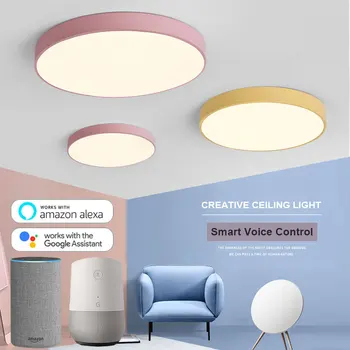 Simplitatea moderne LED Lumini Plafon Smart APP Alexa de Start Google Voice Control Lumina Plafon Bucătărie, Dormitor, Balcon Culoar Lampa