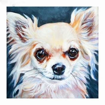 Complet Piața Diamant Pictura câine Chihuahua 5d Diy Diamant Broderie Vânzare Imagine Mozaic De Pietre Cadouri de Craciun Z542