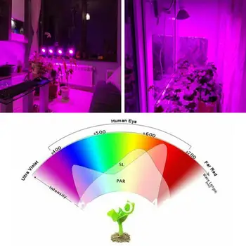 Spectru complet de Plante Cresc Becuri cu Led-uri Lampă de iluminat pentru Semințe hidro Flori cu efect de Seră Legume gradina Interioara E27 fito growbox