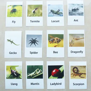 Montessori Jucării pentru Sugari Insecte Setul de Cărți de Joc Meci de Învățare Jucării Educative pentru Copii mici Juguetes Brinquedos YJ1344H