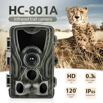 HC801A Vânătoare Camera de 16MP 1080P IP65 Traseu aparat de Fotografiat Viziune de Noapte Pădure Impermeabil faunei Sălbatice Camera Foto Capcane Camera Chasse #SD
