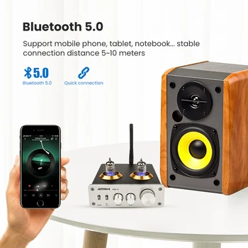 AIYIMA Bluetooth 5.0 HiFi 6J1 Vid Tub Preamplificator Amplificator Stereo Preamplificator Cu Bas Treble Control Pentru Acasă Sunet Teatru