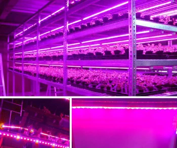 USB Planta cu LED-uri Cresc de Lumină Benzi Fitolampy Cresc Lumini Pentru Plante de Interior, Flori de Răsad De Seră Hidroponică, Răsaduri