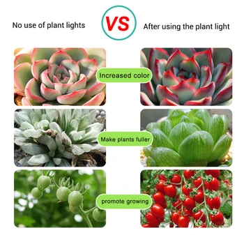 USB Planta cu LED-uri Cresc de Lumină Benzi Fitolampy Cresc Lumini Pentru Plante de Interior, Flori de Răsad De Seră Hidroponică, Răsaduri