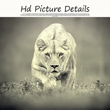 Feroce alb leopard Animal Sălbatic Panza Pictura Arta Postere si Printuri Cuadros de Arta de Perete de Imagine pentru Camera de zi Decor Acasă