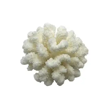 Naturale de Coral Alb de Decor Acvariu scoica Recif de Flori Acasă Ornamente Rezervor de Pește