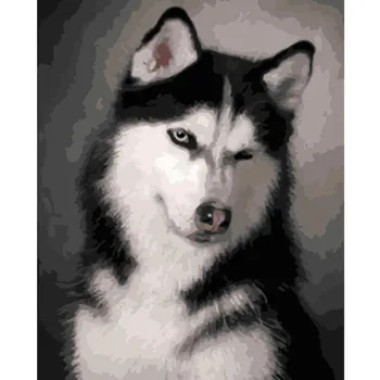 Pictura De Numere DIY Dropshipping 40x50 50x65cm Drăguț câine husky Animal Panza de Nunta de Decorare Arta de imagine Cadou