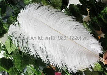 Natural alb din pene de strut 45-50 cm / 18 la 20 cm 50 buc pene de struț pentru decoratiuni de nunta de înaltă calitate plume